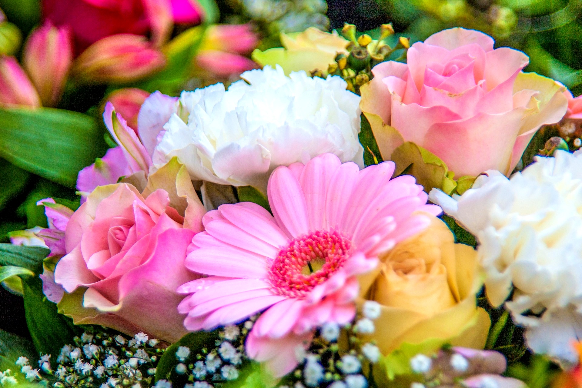 birth_month_flowers-primary-1920x1280px_pixabay